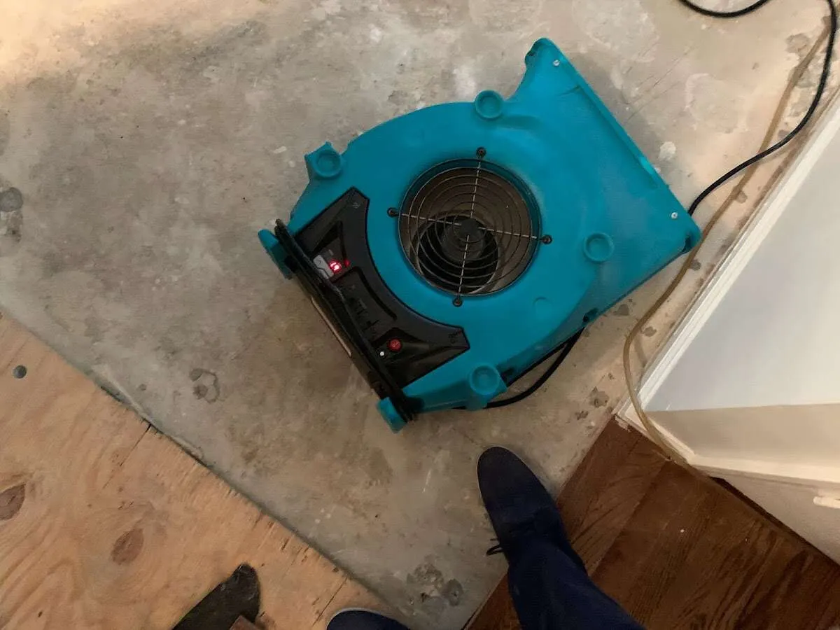 Air mover drying subfloor during Commercial Water Damage Restoration in Alton